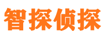 佳县市侦探